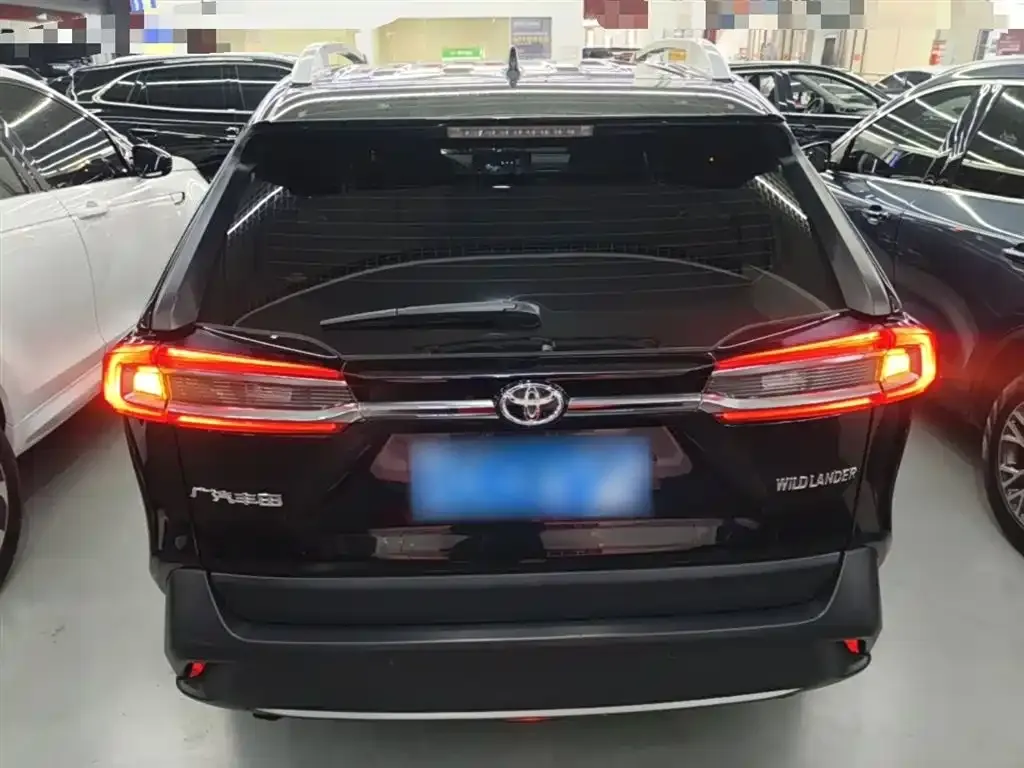 Toyota Wildlander 2024 из CN, фото 6