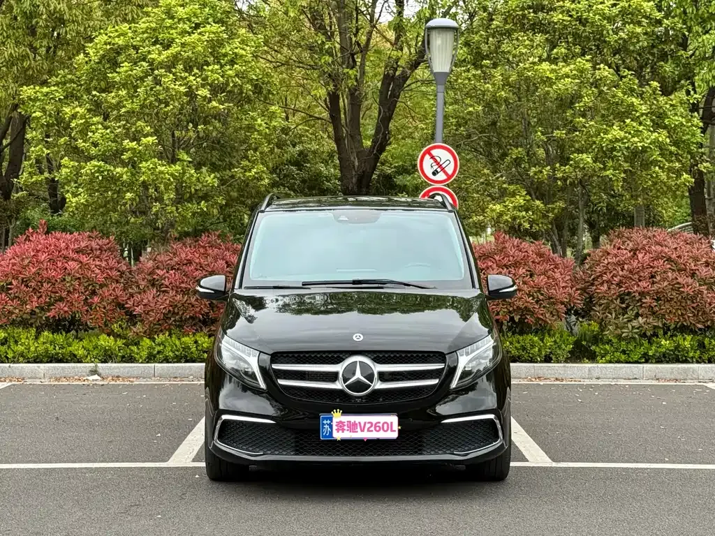 Mercedes-Benz V-Class 2023 из CN, фото 1