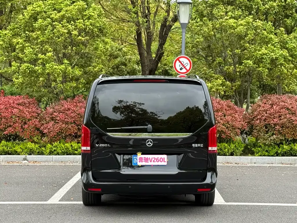 Mercedes-Benz V-Class 2023 из CN, фото 6
