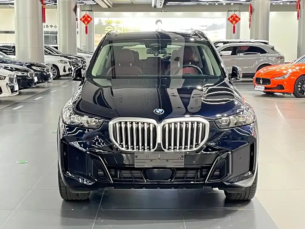 BMW X5 — фото 6