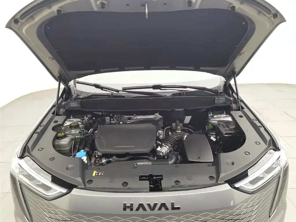Haval Xiaolong MAX 2023 из CN, фото 10