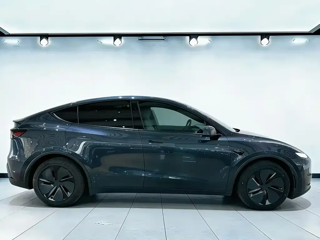 Tesla Model Y — фото 9
