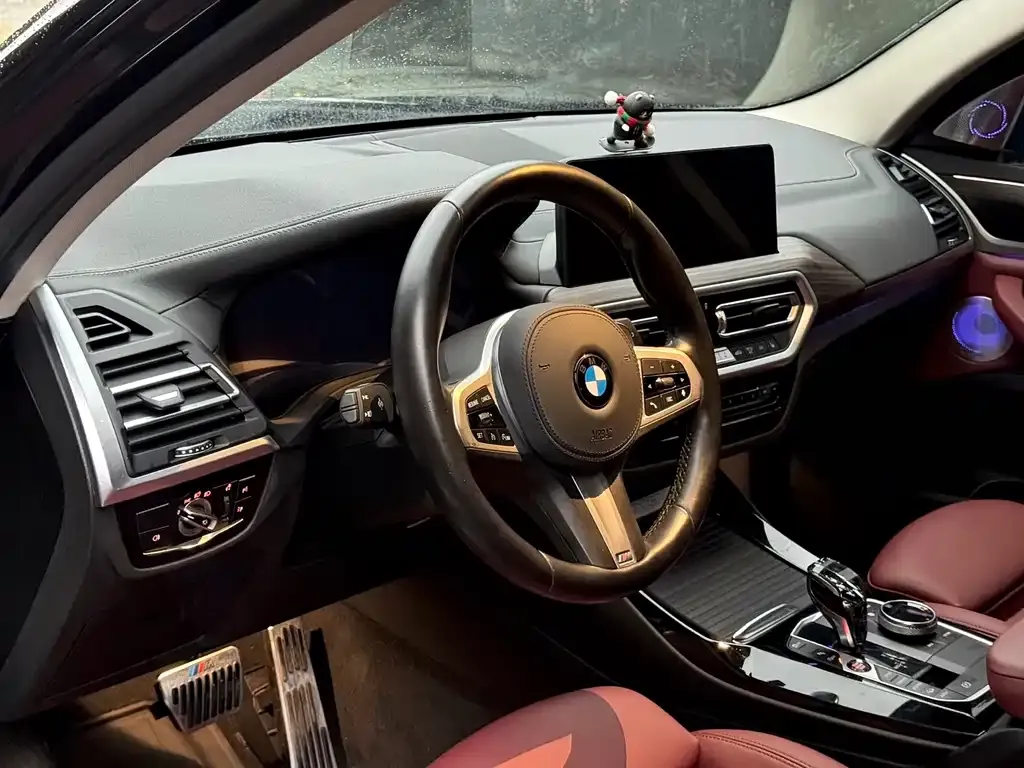 BMW X3 2022 из CN, фото 9
