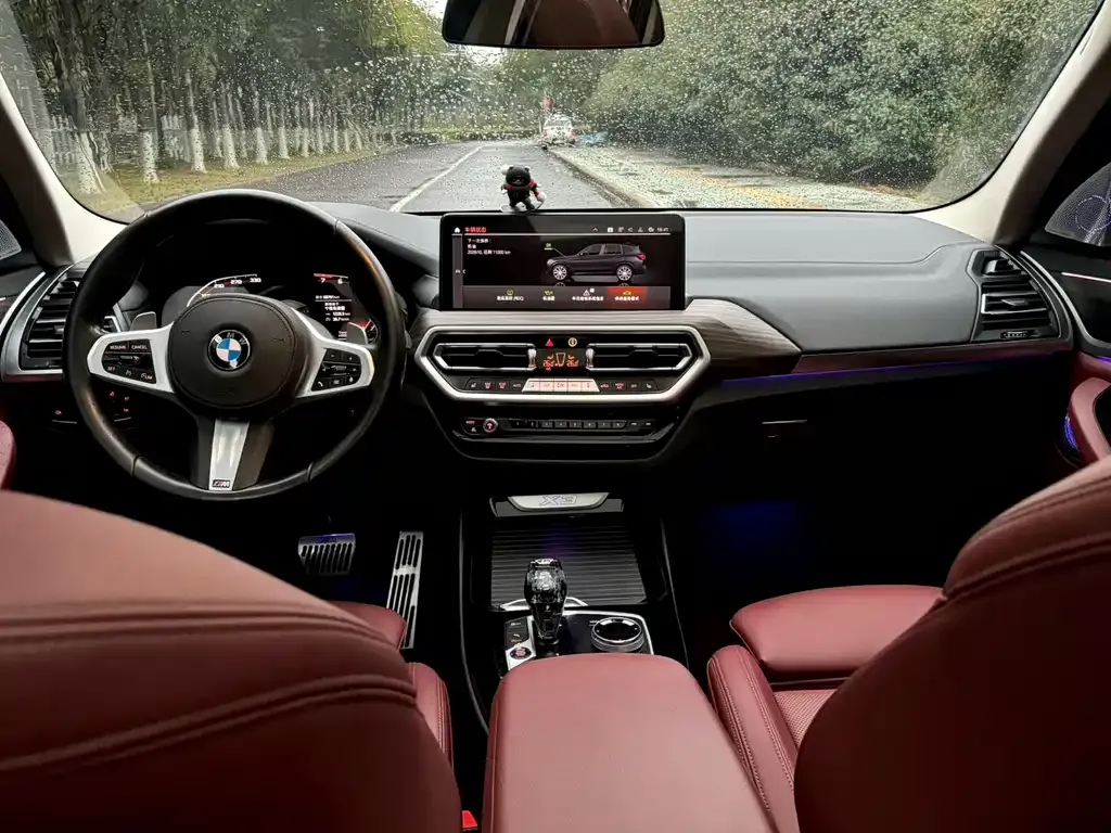 BMW X3 2022 из CN, фото 3