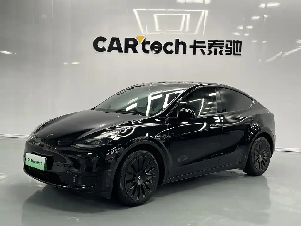 Tesla Model Y — фото 1
