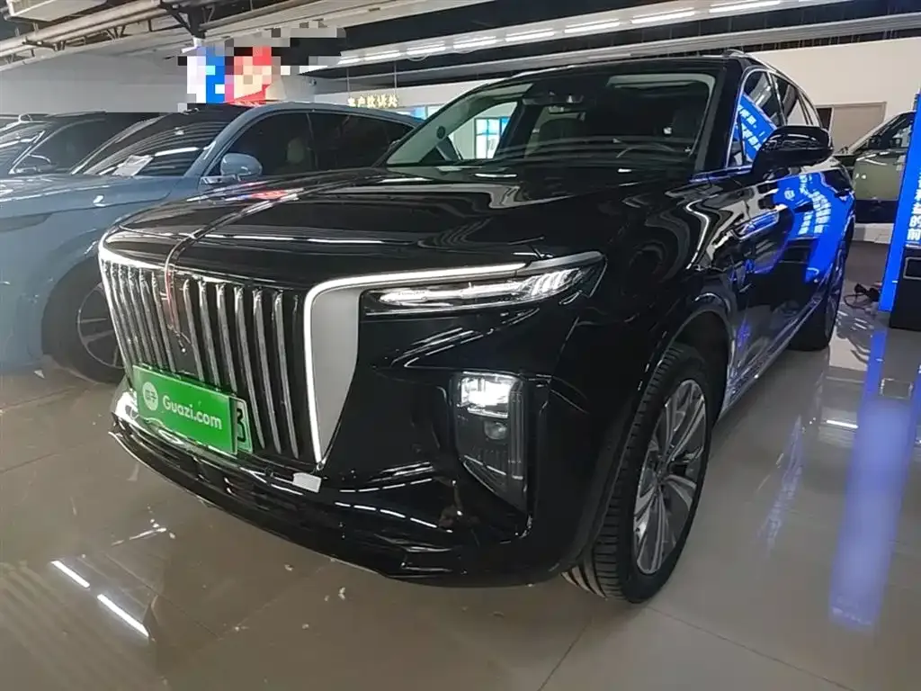 Hongqi E-HS9 — фото 5