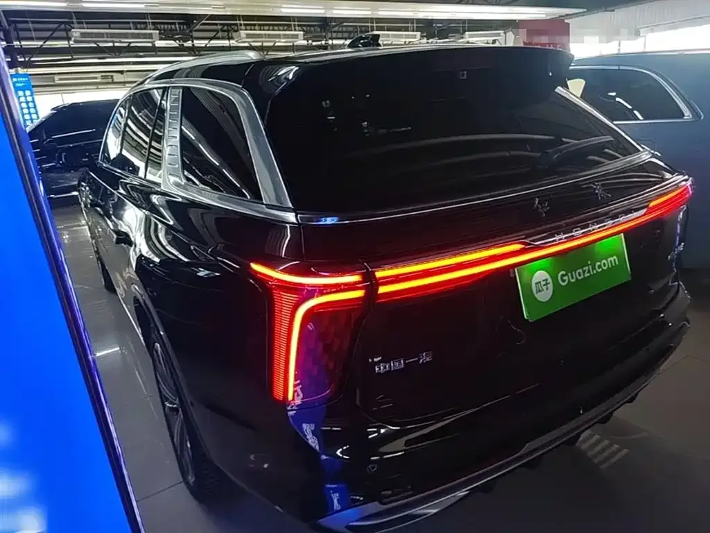Hongqi E-HS9 — фото 8