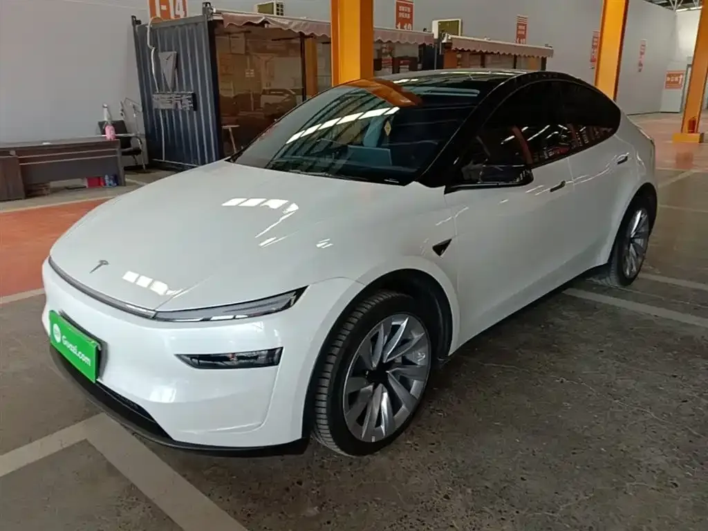 Tesla Model Y 2025 из CN, фото 7