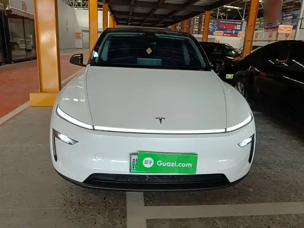Tesla Model Y 2025 из CN, фото 5