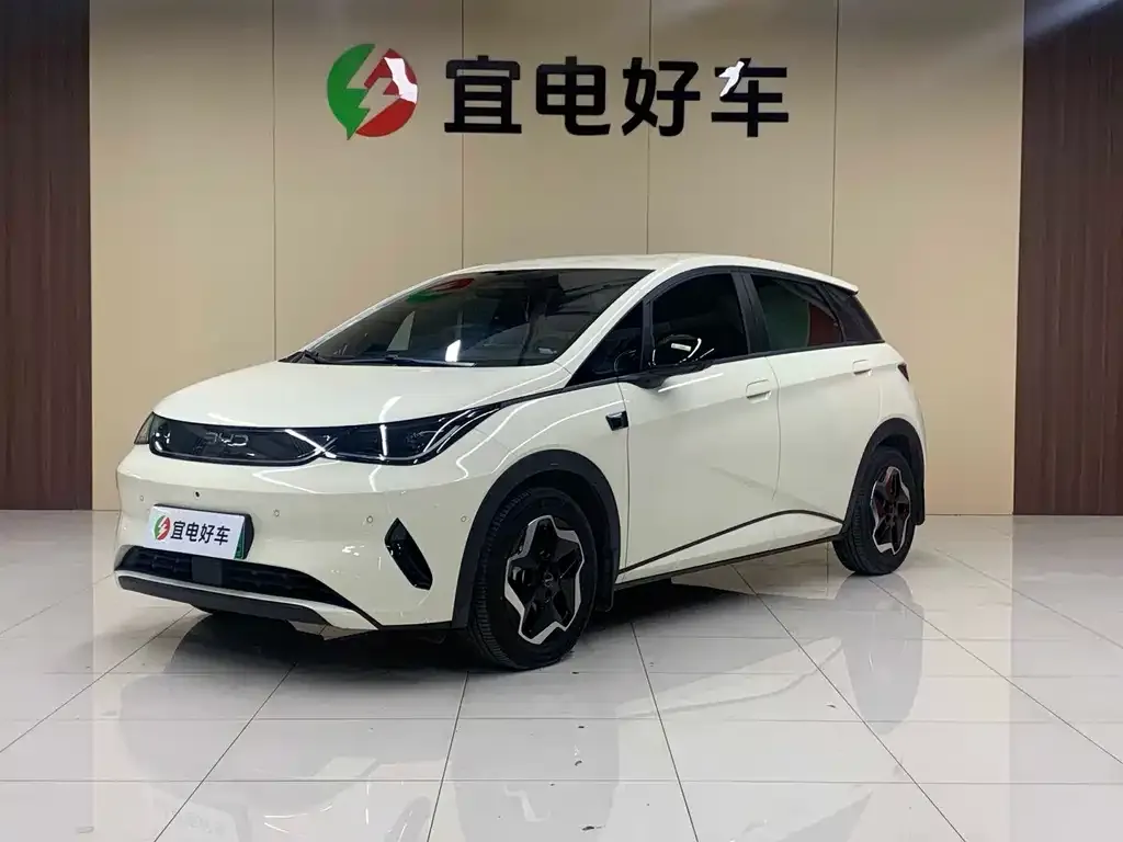BYD Dolphin 2025 из CN, фото 1