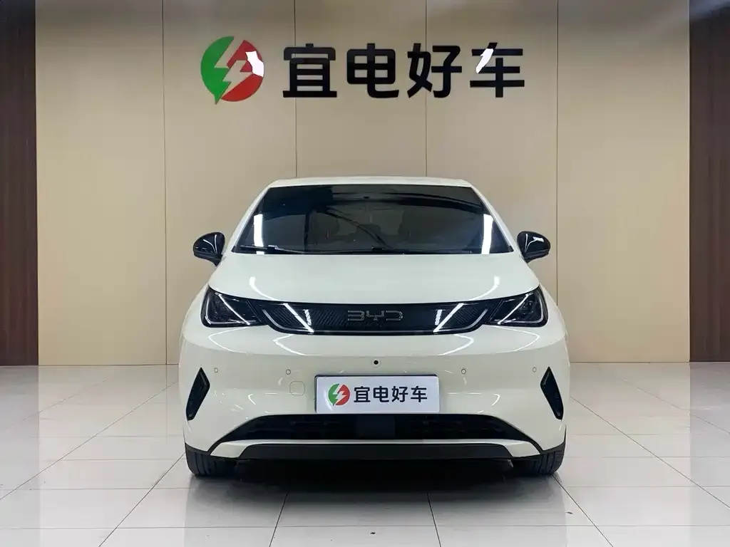 BYD Dolphin 2025 из CN, фото 2