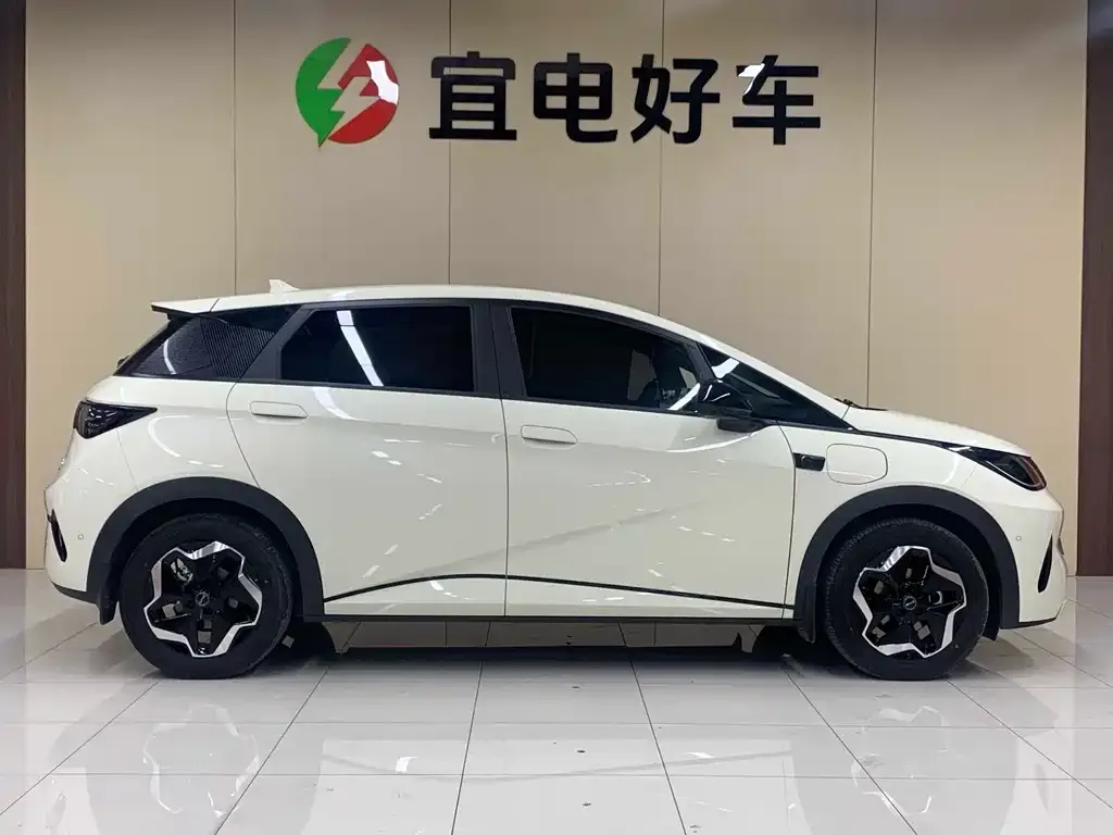 BYD Dolphin 2025 из CN, фото 10