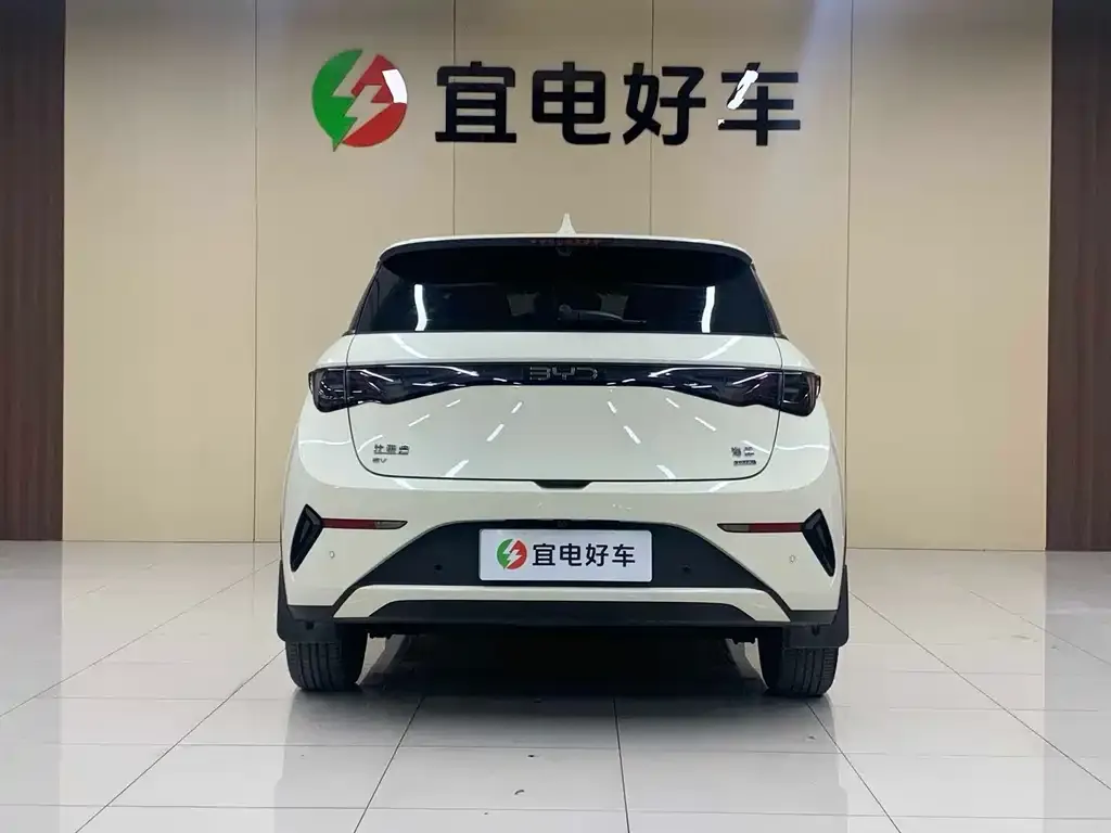 BYD Dolphin 2025 из CN, фото 7
