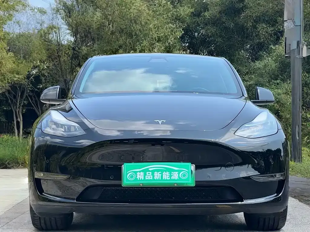 Tesla Model Y — фото 7