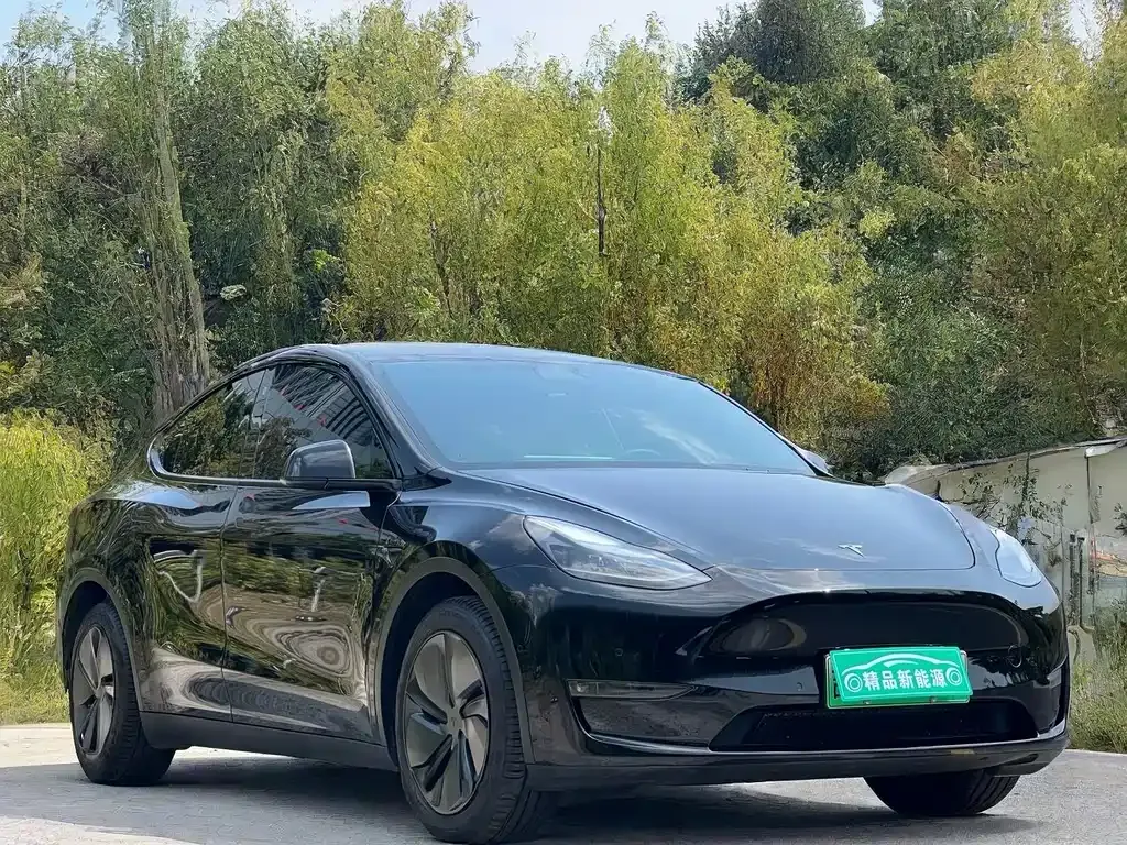 Tesla Model Y — фото 10