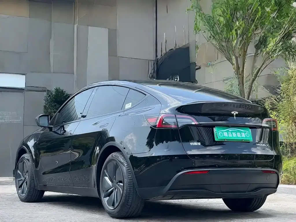 Tesla Model Y — фото 9