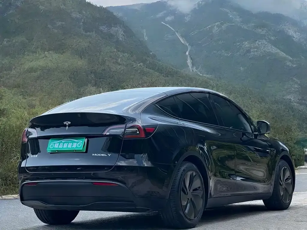 Tesla Model Y — фото 5
