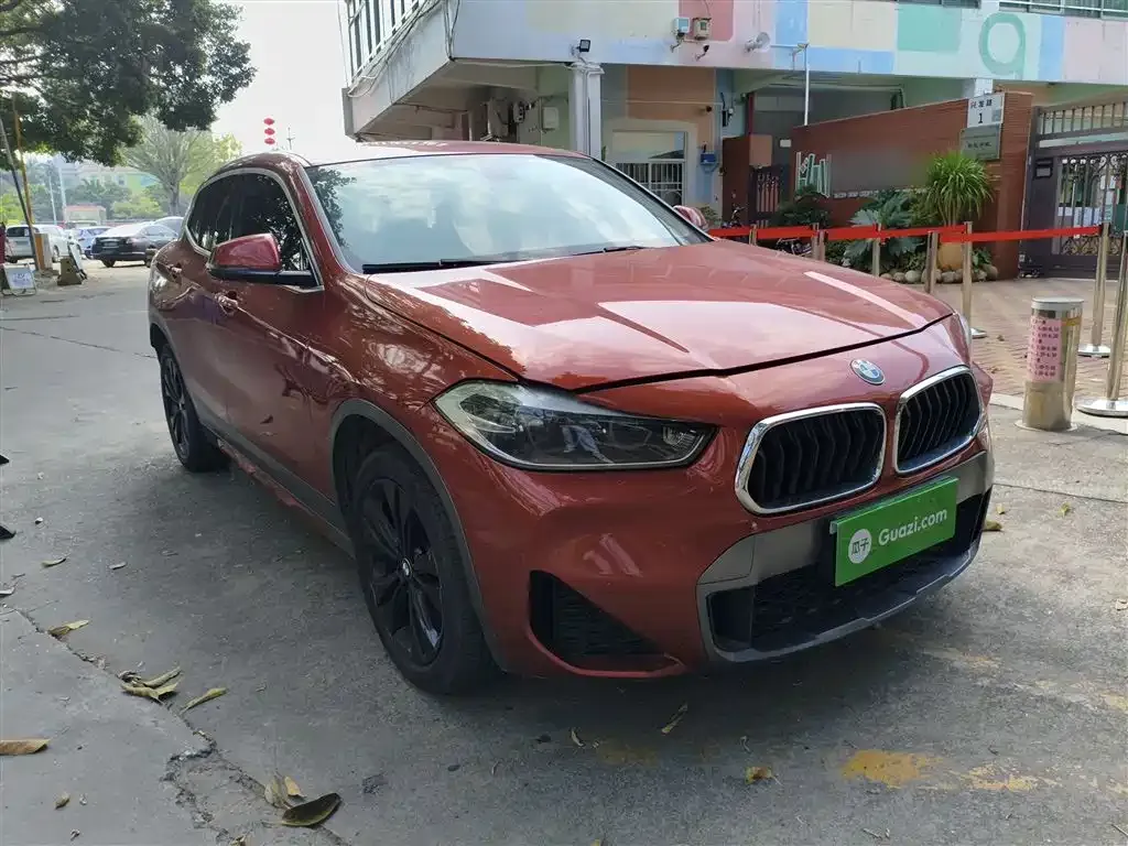BMW X2 2021 из CN, фото 5
