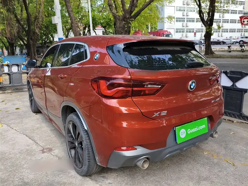 BMW X2 2021 из CN, фото 9