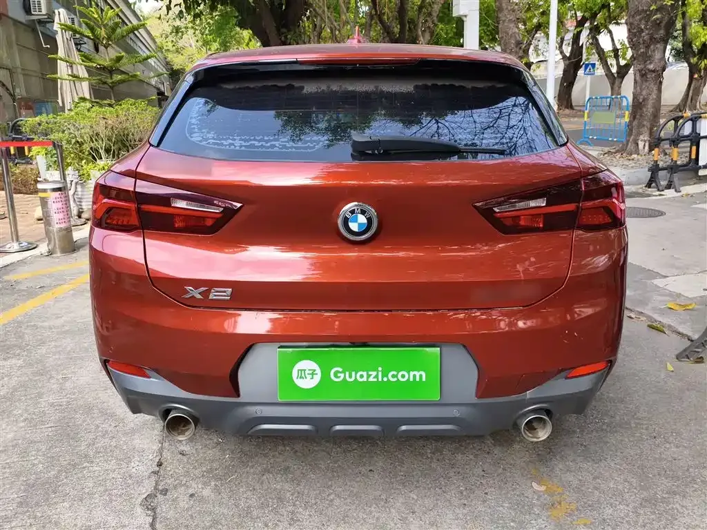 BMW X2 2021 из CN, фото 8