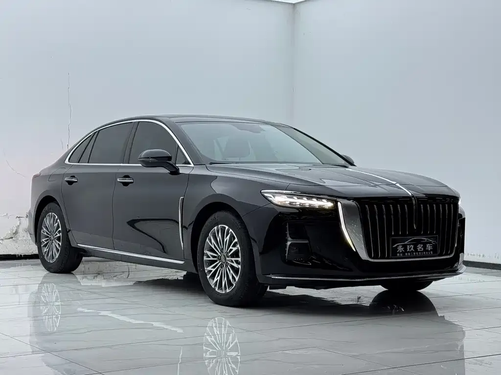 Hongqi H5 2024 из CN, фото 9