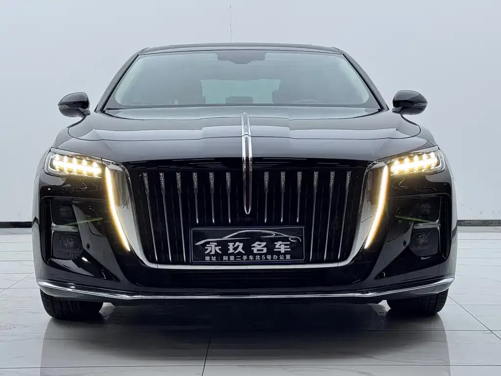 Hongqi H5 2024 из CN, фото 2