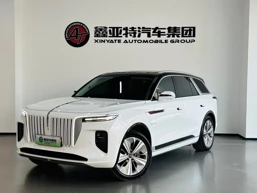 Hongqi E-HS9 2023 из CN, фото 9