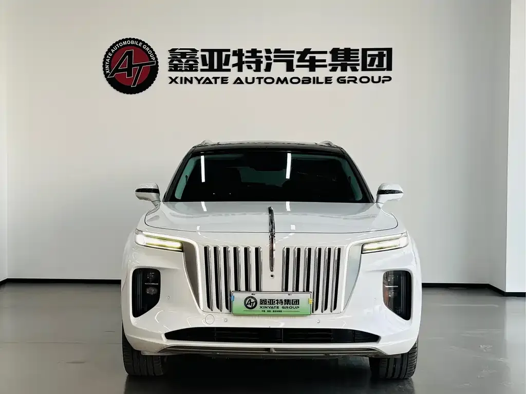 Hongqi E-HS9 2023 из CN, фото 4