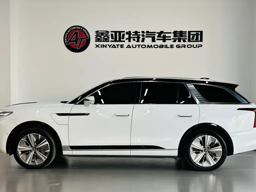 Hongqi E-HS9 2023 из CN, фото 3
