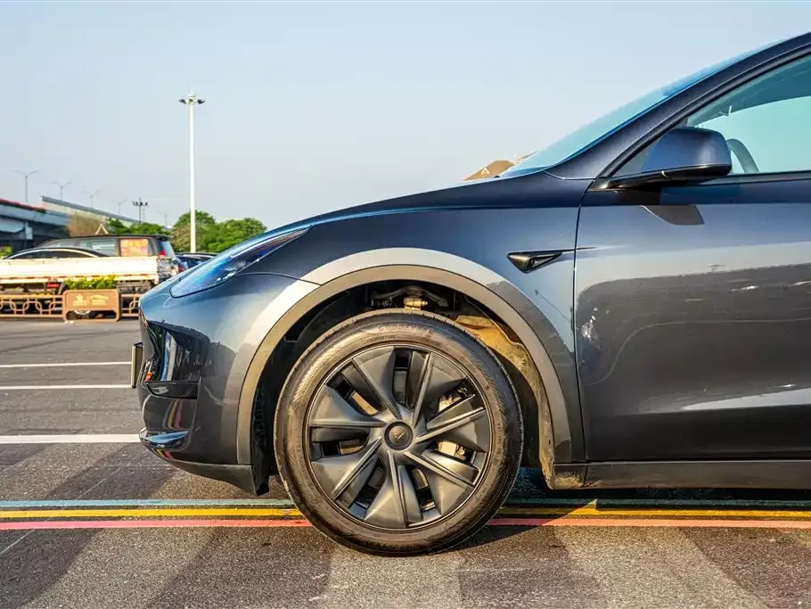 Tesla Model Y 2025 из CN, фото 6
