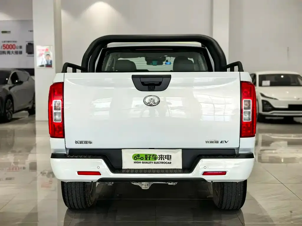 Great Wall Pao EV 2023 из CN, фото 3