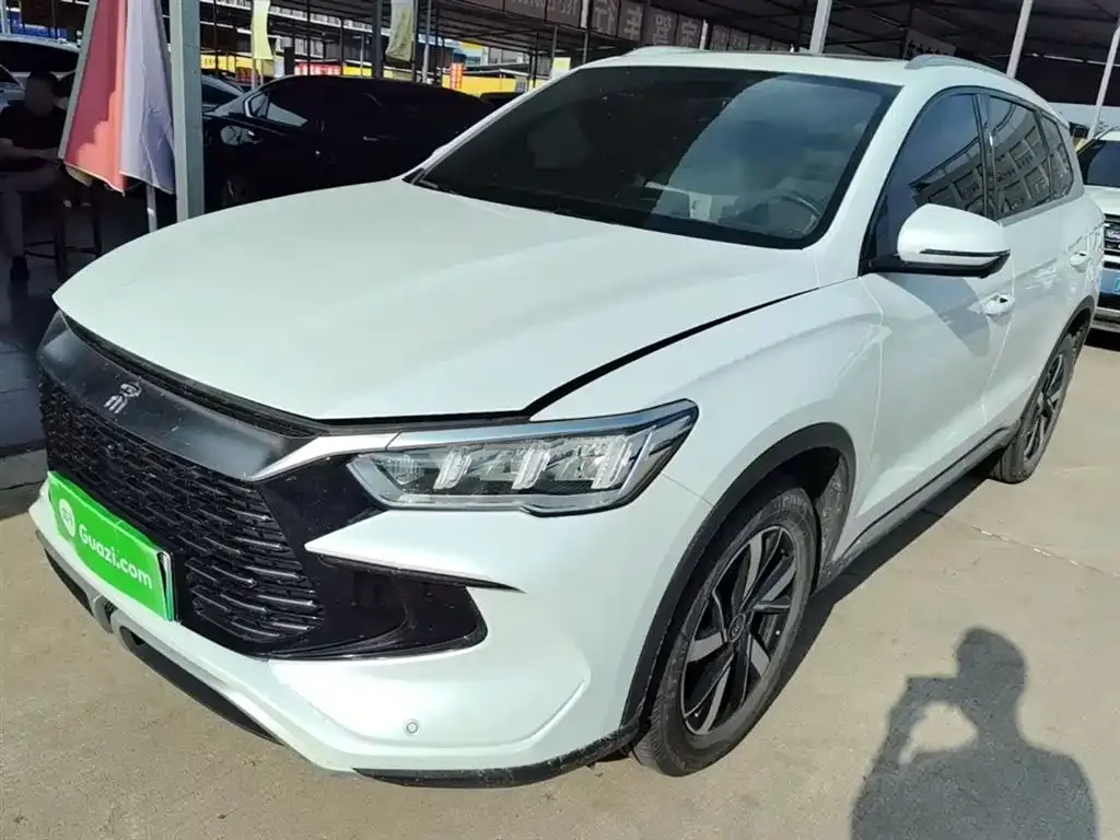 BYD Pro New Energy 2023 из CN, фото 6