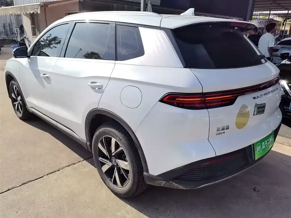 BYD Pro New Energy 2023 из CN, фото 3