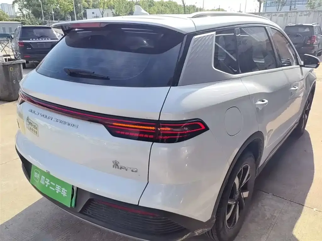 BYD Pro New Energy 2023 из CN, фото 10