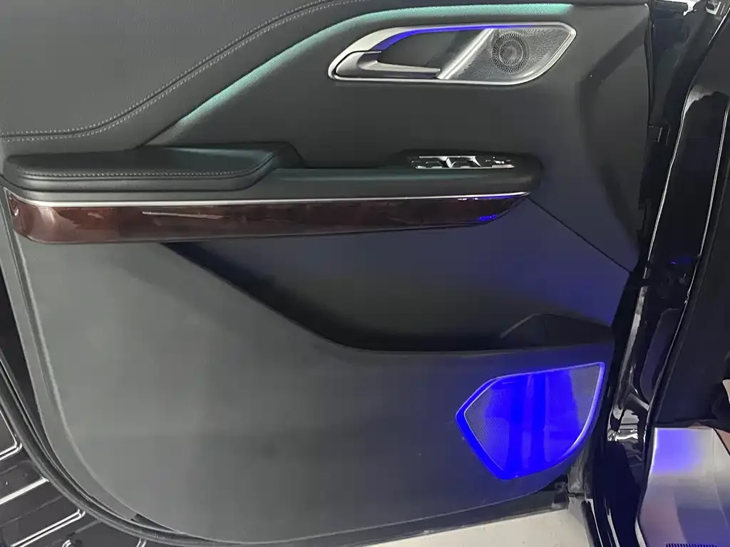 Hongqi HQ9 PHEV 2024 из CN, фото 2