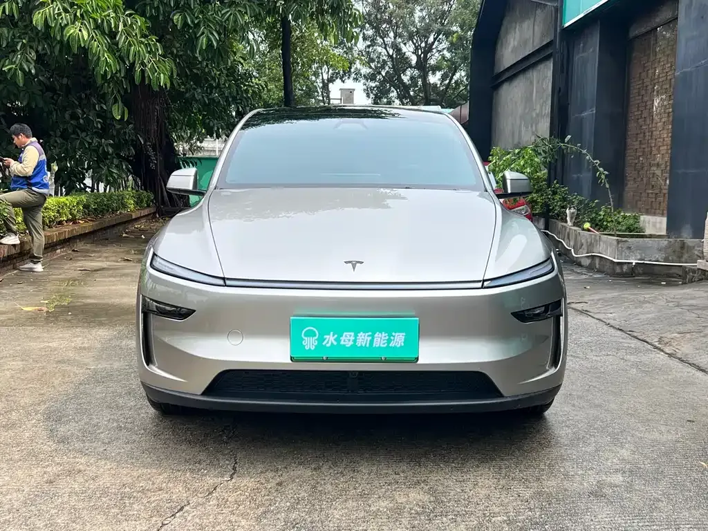 Tesla Model Y L 2025 из CN, фото 7