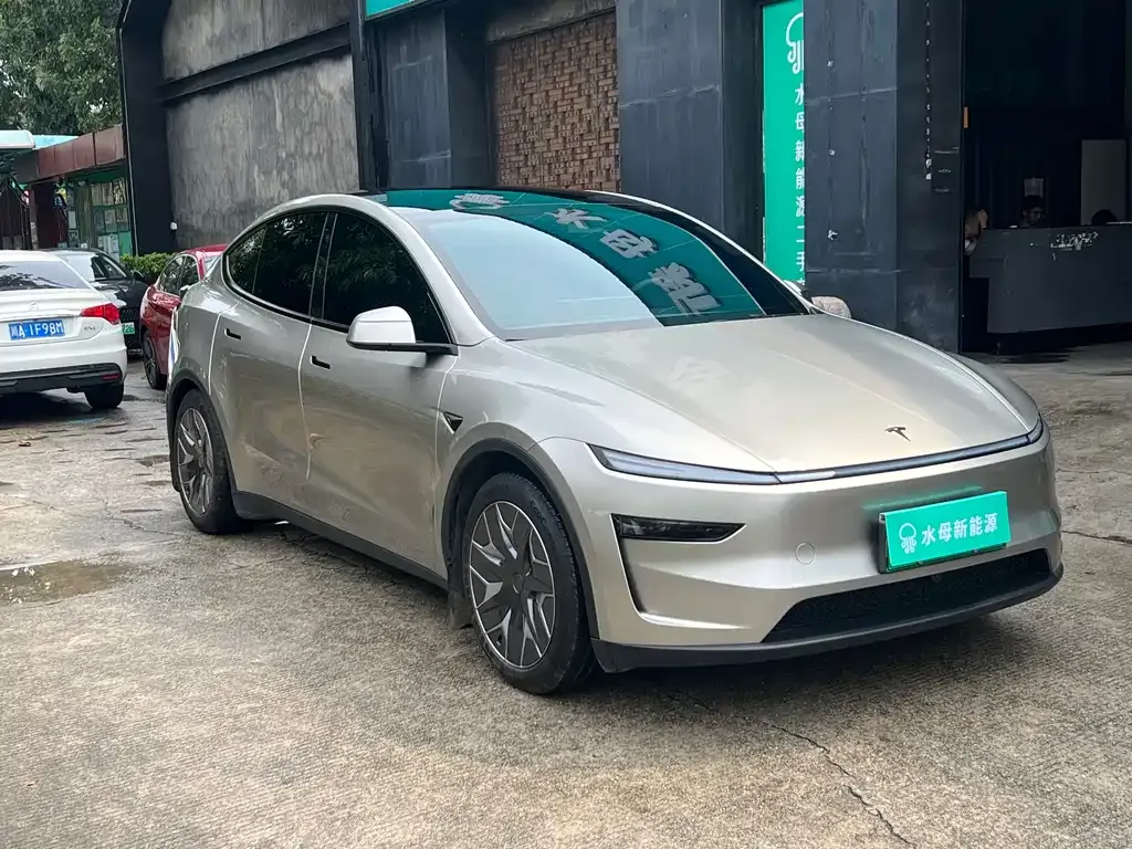 Tesla Model Y L 2025 из CN, фото 6