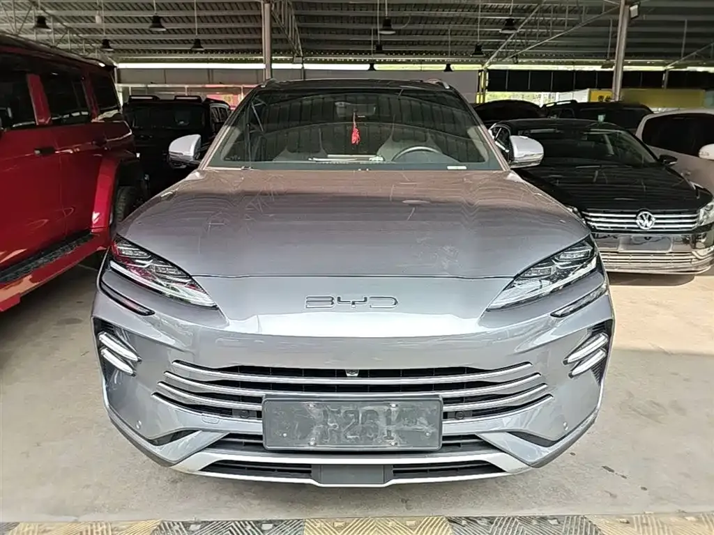 BYD PLUS New Energy 2024 из CN, фото 10