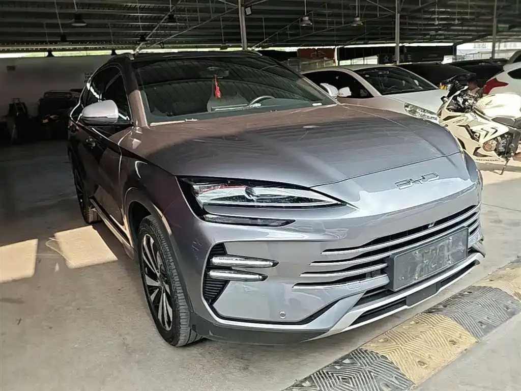 BYD PLUS New Energy 2024 из CN, фото 3