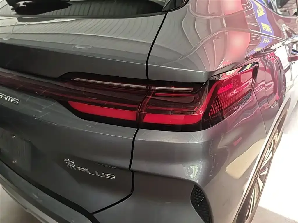 BYD PLUS New Energy 2024 из CN, фото 6