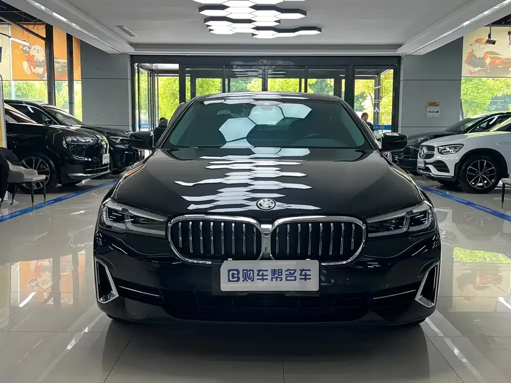 BMW 5 Series New Energy — фото 9