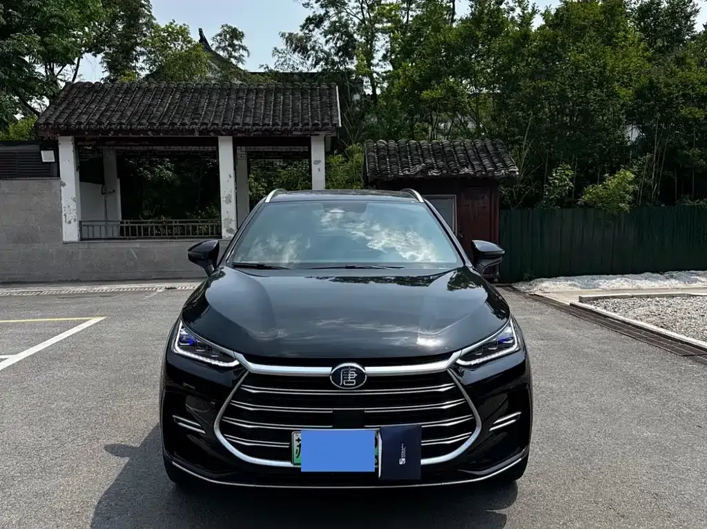 BYD Tang New Energy