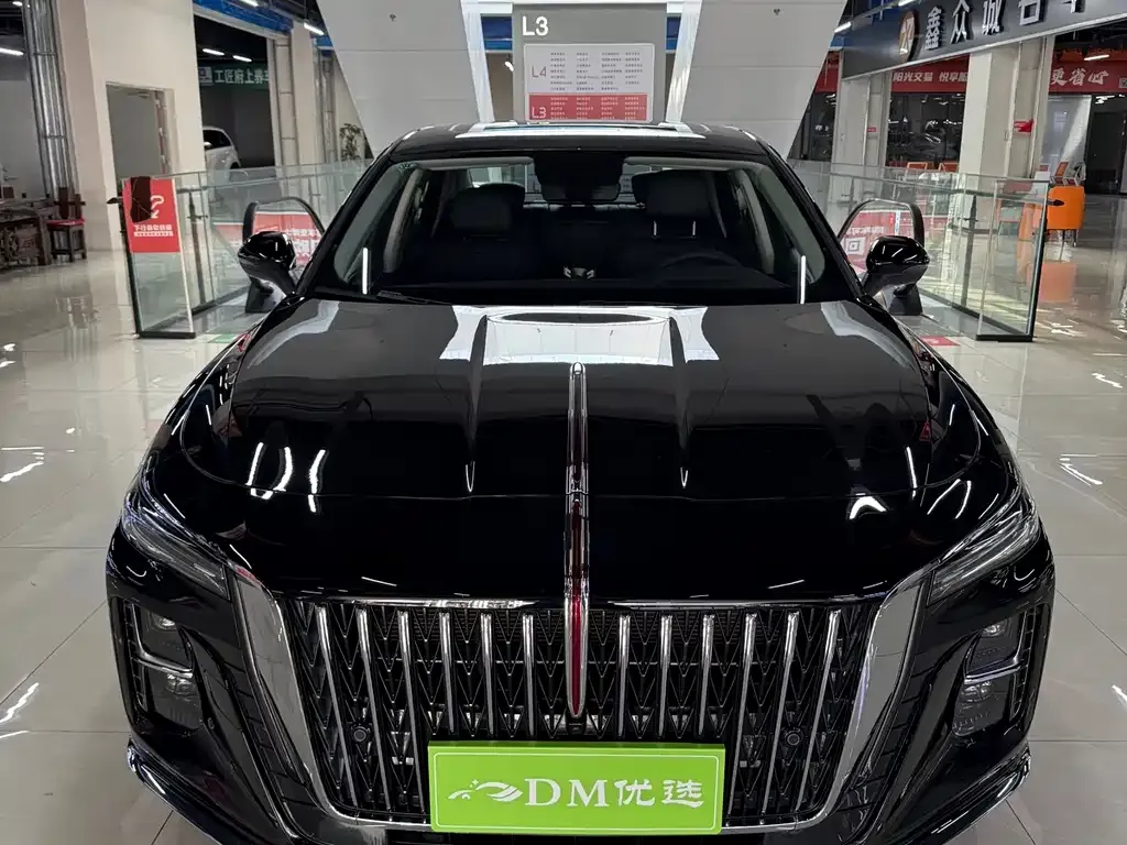 Hongqi H5 2025 из CN, фото 3