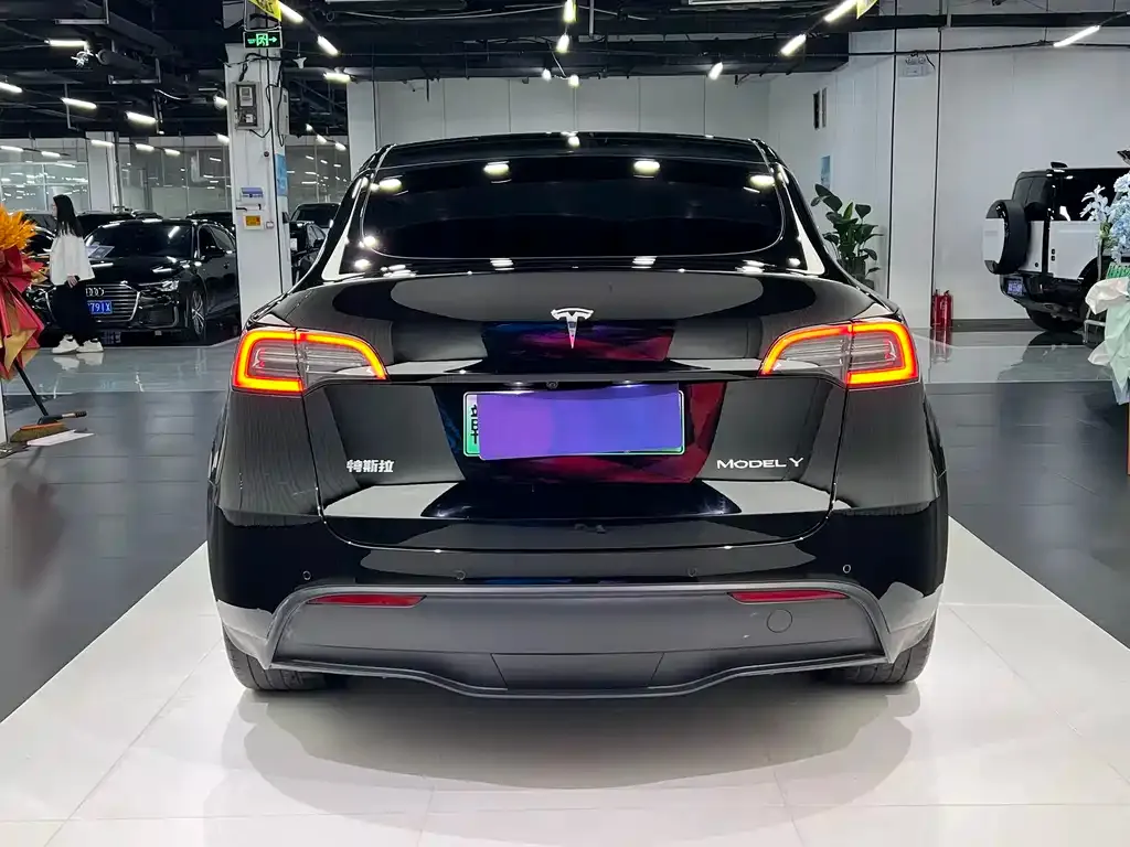 Tesla Model Y — фото 10