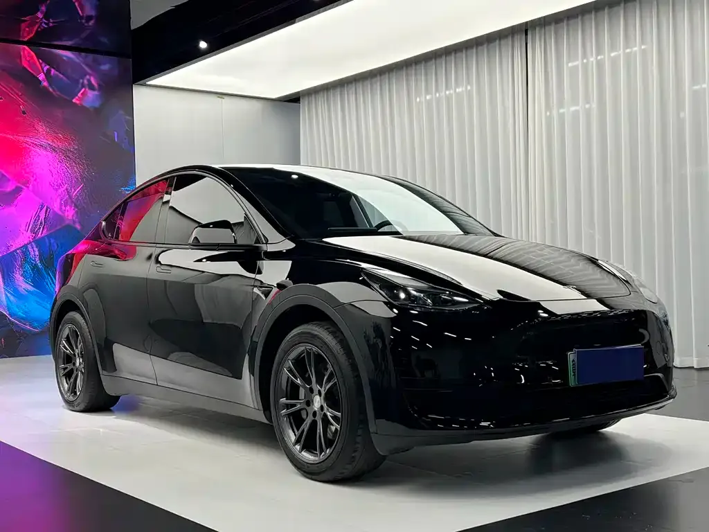 Tesla Model Y — фото 2