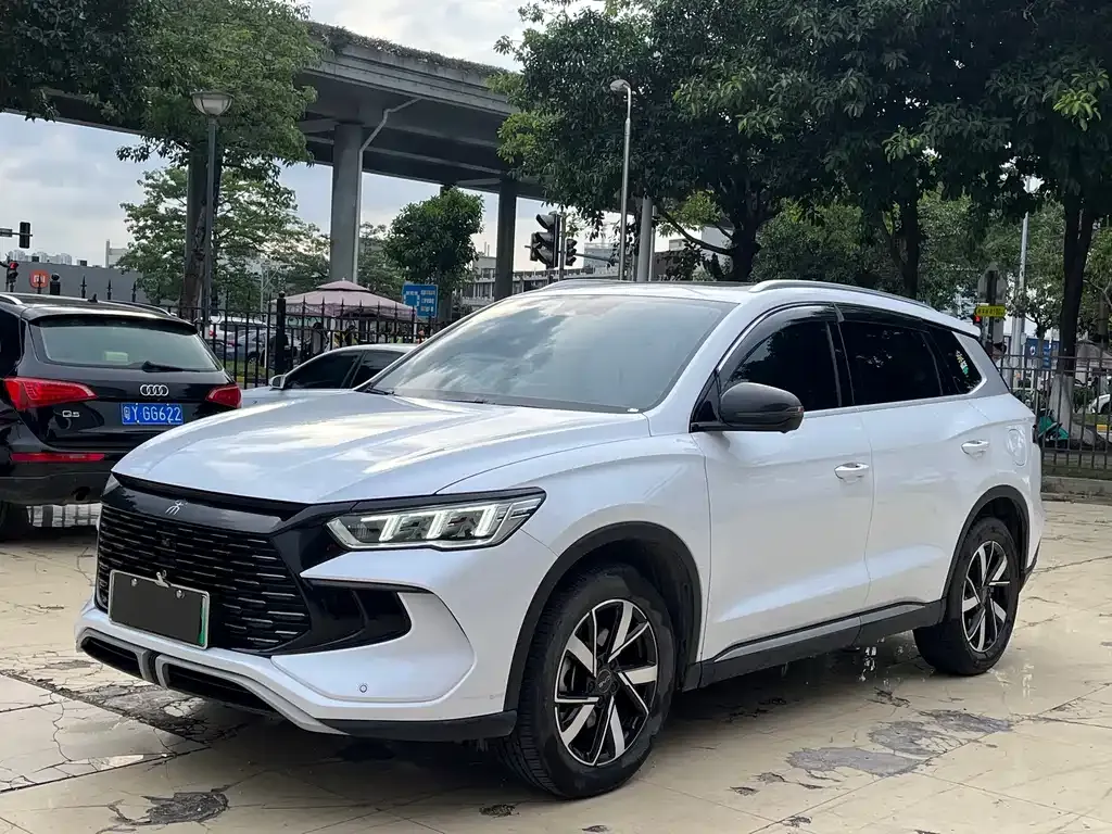 BYD Pro New Energy 2024 из CN, фото 1
