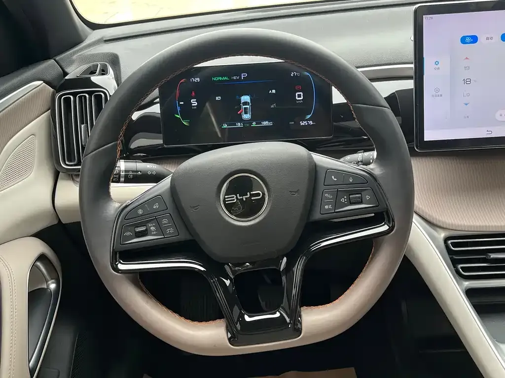 BYD Pro New Energy 2024 из CN, фото 2