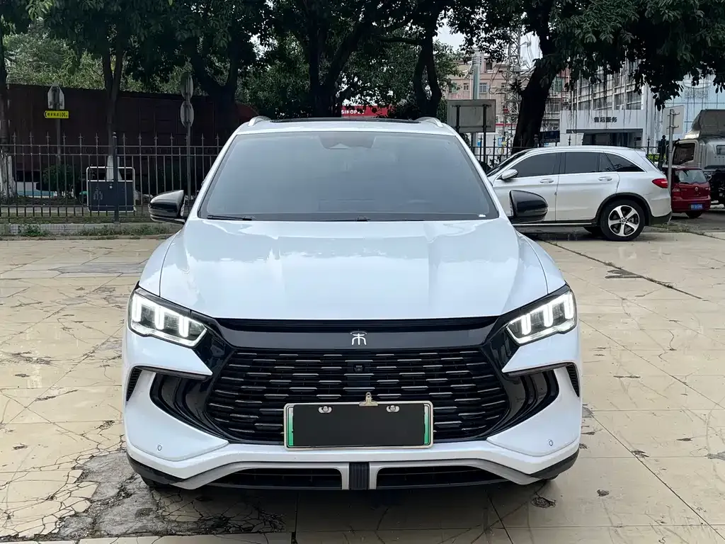 BYD Pro New Energy 2024 из CN, фото 10