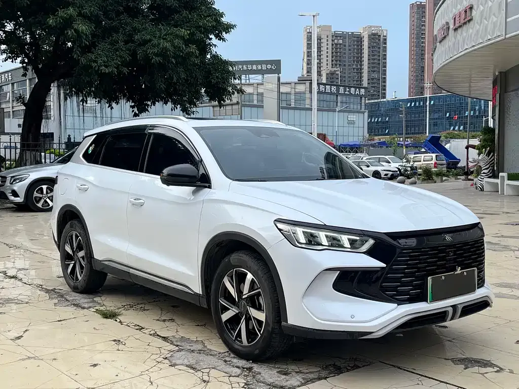BYD Pro New Energy 2024 из CN, фото 7
