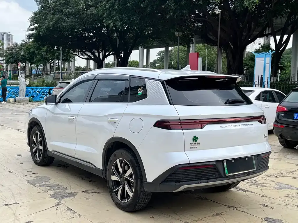 BYD Pro New Energy 2024 из CN, фото 9